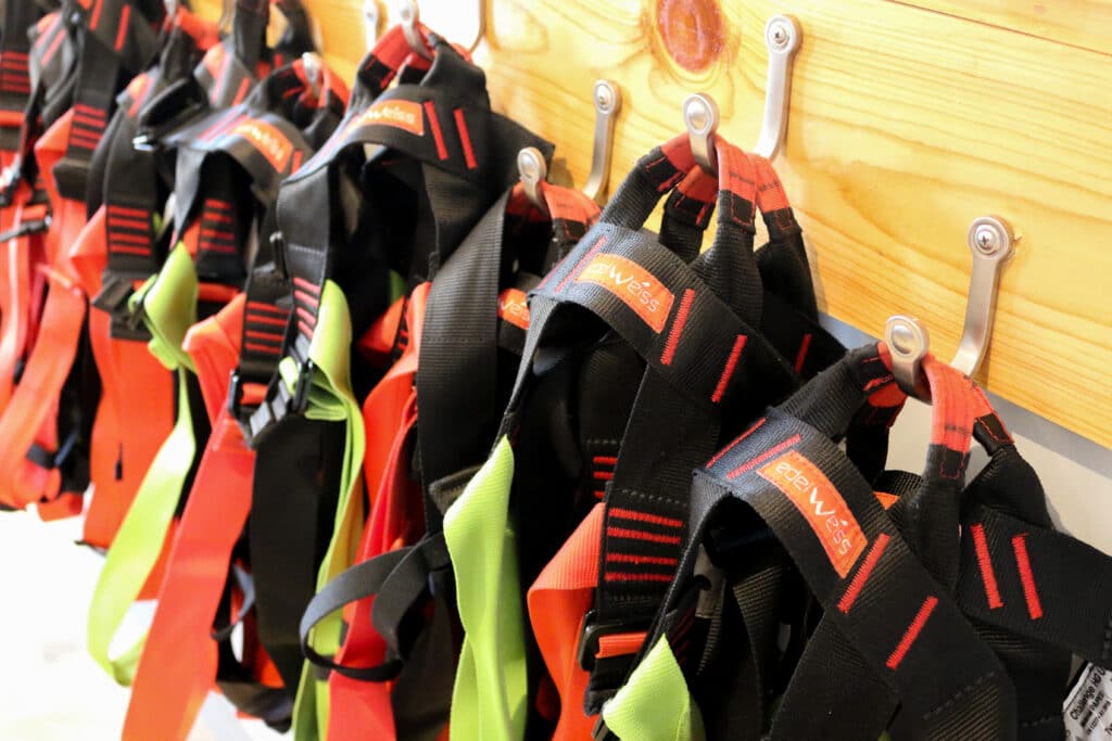 Climbing Center Harness